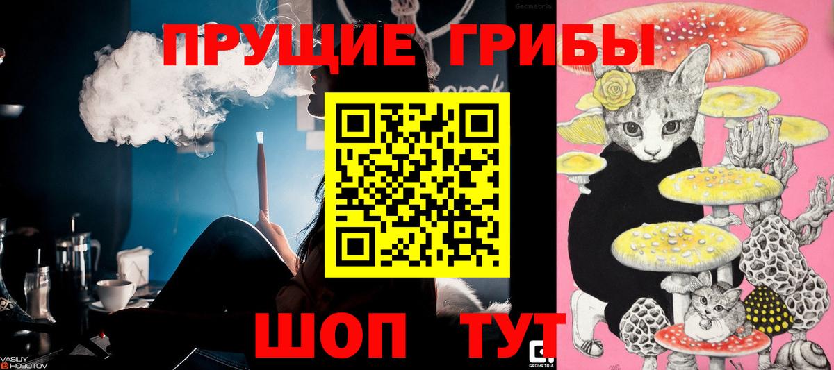 Псилоцибиновые грибы мицелий  Вход с VPN  Псилоцибиновые грибы Magic Shrooms  Сыктывкар 