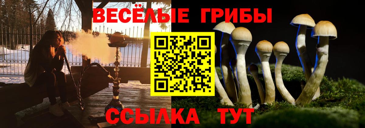 Псилоцибиновые грибы мухоморы Сыктывкар